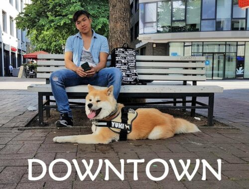 AKITA INU - Downtown | 秋田犬