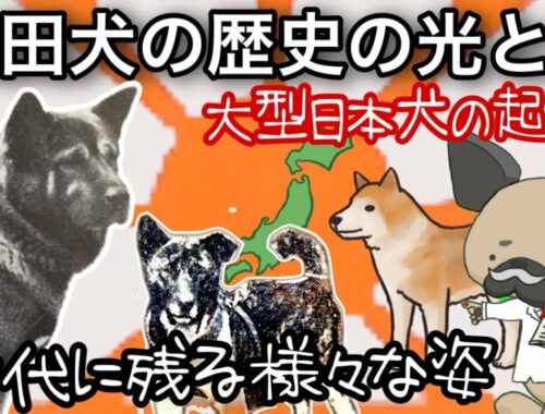 秋田犬の歴史の光と闇〜大型日本犬の誕生秘話〜時代に残る姿を探る