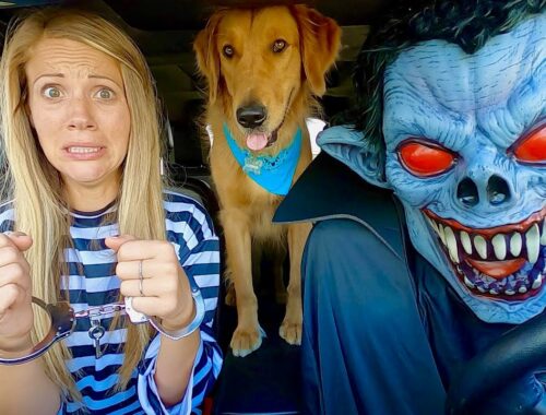 Police Surprises Puppy and Vampire with Car Ride Chase!