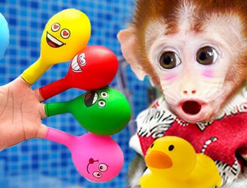 Cute Monkey Bi Bon and puppy play with Fingers Balloon at the farm | Animals Home Monkey Videos