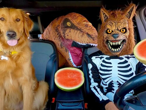 Wolf Surprises T-Rex & Puppy with Car Ride Chase