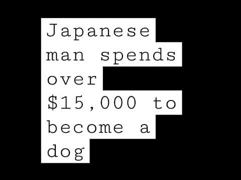 Spending $$$$$ to become a DOG??? WOW!! | What do you think?? #shorts #youtubeshorts #dog #viral