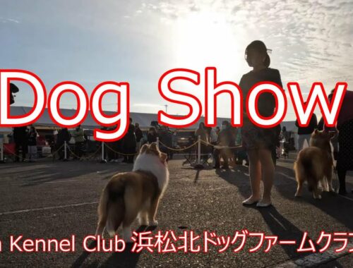 Japan Kennel Club Dog Show【浜松北ドッグファームクラブ展】