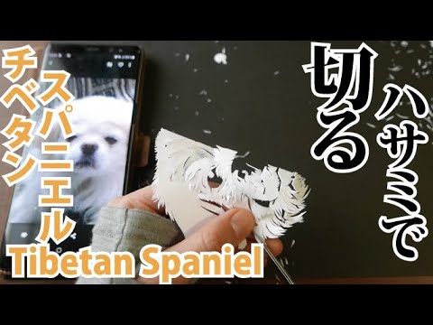 チベタンスパニエル/Tibetan Spaniel【下描きなし・ハサミのみの切り絵/細かい作業をじーっと見たい方へ】[静かすぎるASMR][2020/6/26撮影]