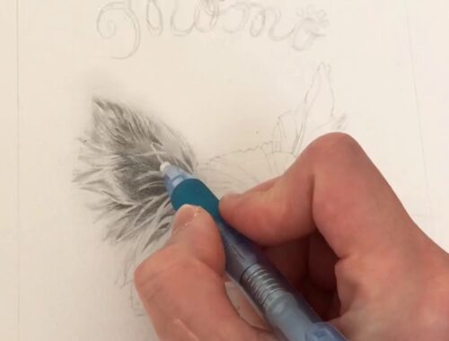 鉛筆画（犬/ヨークシャーテリア）の描き方
