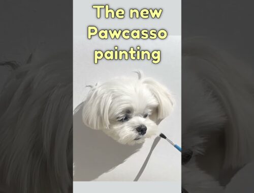 Pawcasso or Paw Gogh? #funny #viral #puppy #cute #dog