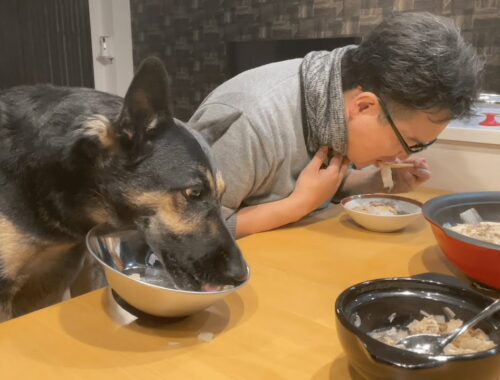 愛犬と一緒に重ね鍋食べたら、めっちゃあったまった！【ジャーマンシェパード】