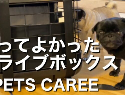 【パグ犬 炭鈴】日本発売中☆買ってよかった超安全なスイス製ドライブボックス | DOG TRANSPORT BOX 4PETS CAREE | Pug