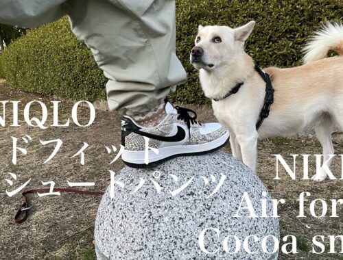 UNIQLOワイドフィットパラシュートパンツにLewis Leathers CYCLONEとNIKE Air Force１Cocoa SnakeのLOOK BOOK