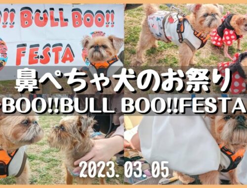 【犬イベント】鼻ぺちゃ犬 大集合✨ ～BOO!!BULL BOO!!FESTAに行ってきたよ～