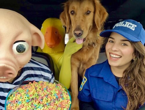 Rubber Ducky Surprises Pig & Puppy With Car Ride Chase!