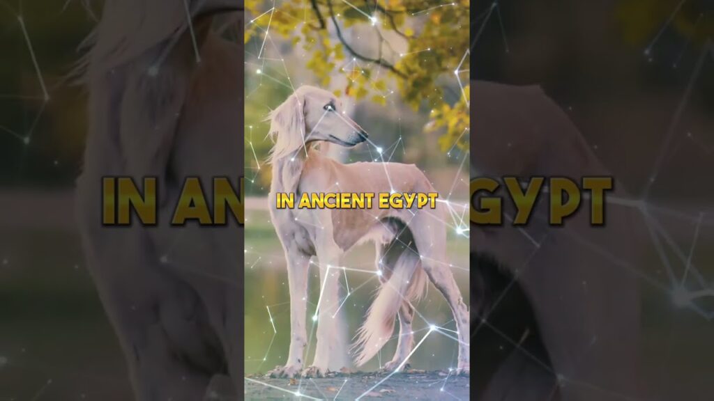 The WORLD'S OLDEST Dog Breed YOU Might WANT To HAVE #shorts