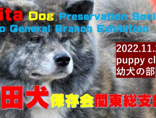 秋田犬保存会関東総支部展（Akita Dog Preservation SocietyKanto General Branch Exhibition）【Samurai dog TV】