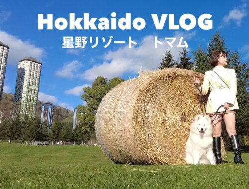 【北海道旅行】大型犬と一緒に『星野リゾート　トマム』に宿泊してきました！【サモエド】I stayed at "Hoshino Resort Tomamu" with my dog!【samoyed】
