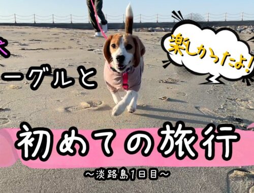 愛犬と初めての旅行～淡路島～