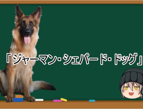 【ゆっくり解説】犬種３４：ジャーマン・シェパード・ドッグ