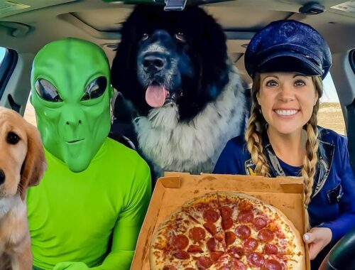 Police and Puppy Surprised by Alien Car Ride Chase!