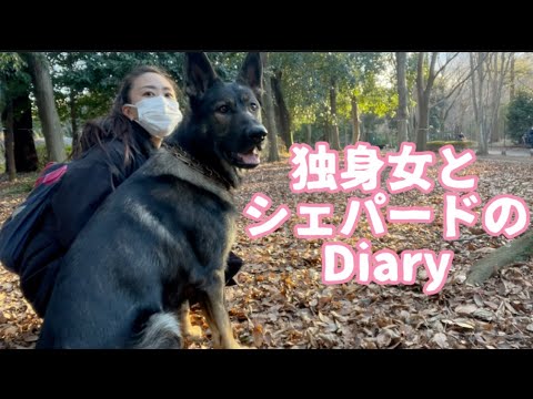愛犬と過ごす休日〜深大寺〜ジャーマンシェパード