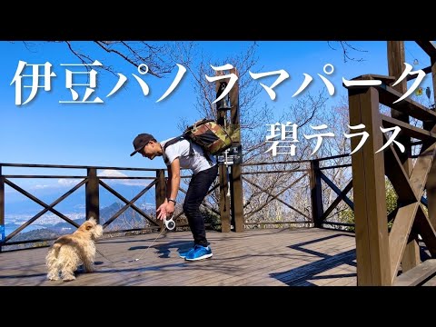 【伊豆パノラマパーク/碧テラス】犬OK。富士山と駿河湾を望む絶景山頂リゾート。