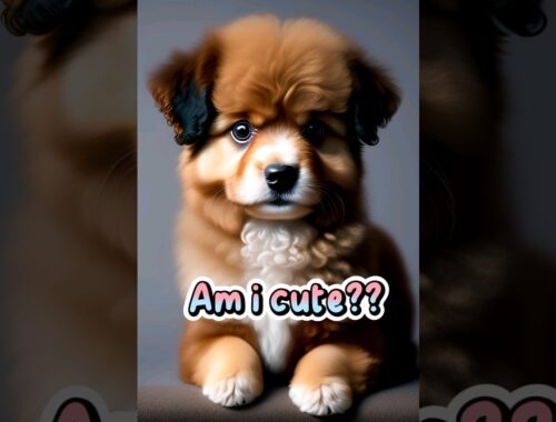 Am I cute?? #cute #puppy #dog #animals #shorts