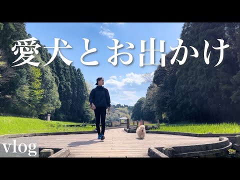 愛犬と広い広場で思いっきり走れる公園ならココがオススメ。千葉の昭和の森。レークランドテリア。
