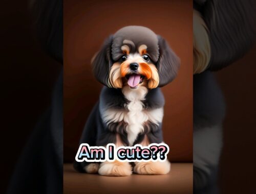 Am I cute?? #cute #puppy #dog #shorts