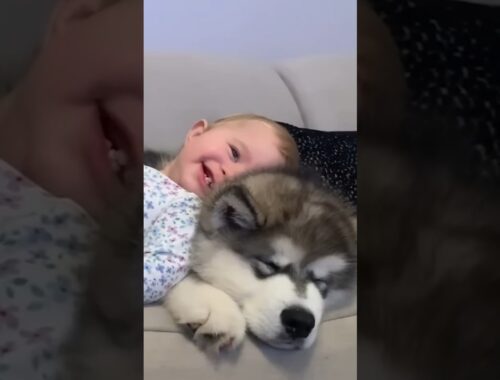 Adorable Puppy Meet Baby Love From First Sight!