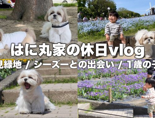 【かわいい】シーズー犬と1歳の子供を連れて鶴見緑地に遊びに行ってきた！【休日vlog】