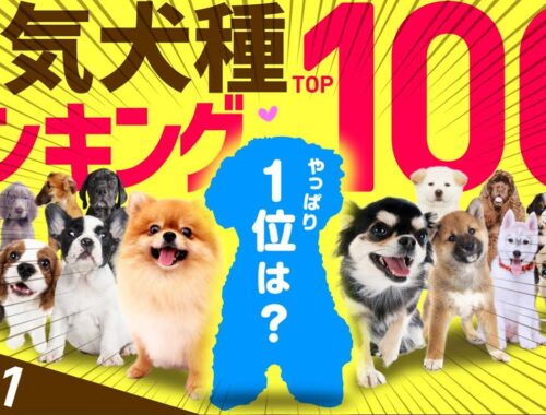 【2021】❤️人気犬種ランキングTOP100（JKC年間犬籍登録頭数）