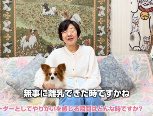 元気いっぱいのパピヨン天国！後藤喜代美ブリーダーの犬舎を訪問