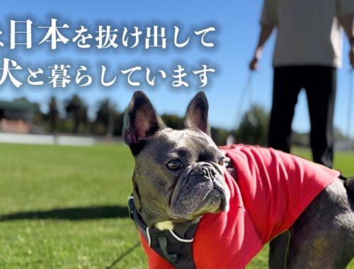 【海外移住】日本を離れ12年愛する犬とひっそり暮らす男【登録者1万人感謝記念】