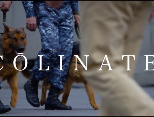 COLINATE K-9（警察犬/警備犬7犬種）