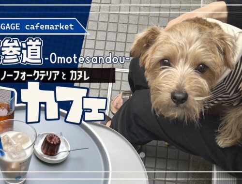 【犬OKおしゃカフェ】「Baggage cafemarket」でカヌレを食す【ノーフォークテリア】