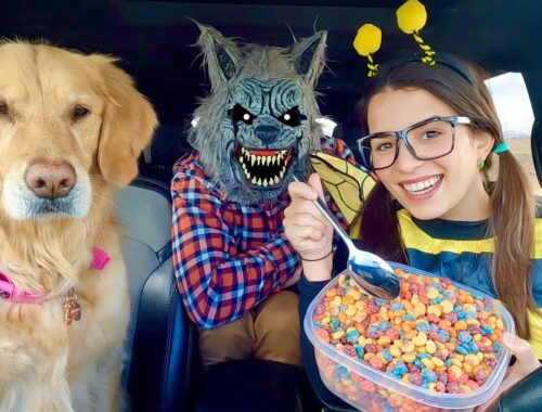 Wolf Surprises Puppy & Bee with Car Ride Chase!