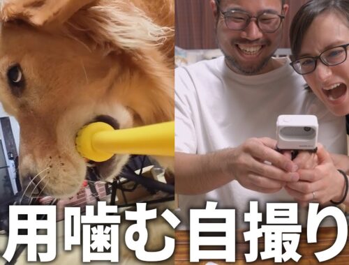 愛犬の自撮りアングルの顔が面白すぎるw【Insta360 GO 3】