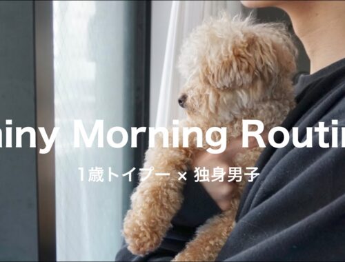【モーニングルーティン】独身男とトイプードル、ベッドから出たくない雨の日の朝