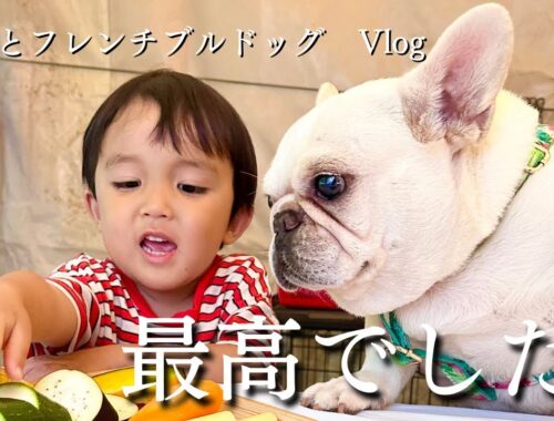 3歳児とフレンチブルドッグを連れて快適グランピング旅行【愛犬と旅行 Vlog】