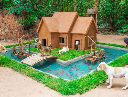 Dog House Build in Jungle For Rescued Puppies And Build Fish Pond For Redfish
