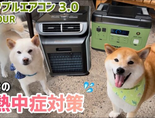 柴犬大家族の酷暑・熱中症対策にみかん園が今年導入したものはこちら！｜EENOUR ポータブルエアコン スポットクーラー 3.0 PA600
