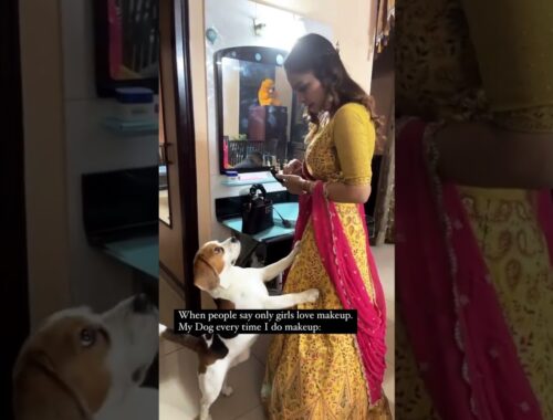 Watch till end dog loves make up #shorts #dog #explore #cute #funny