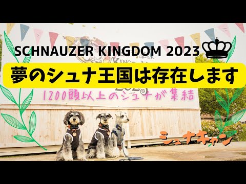 【イベント】SCHNAUZER KINGDOM 2023 "夢のシュナ王国は存在しました"