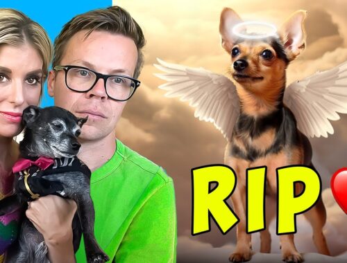 Saying Goodbye to Our Dog *Emotional*