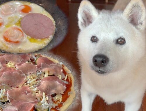 【過去最高の出来】手作りピザ窯で作るジブリ飯とピザ＆尻尾フリフリ甘えまくる柴犬
