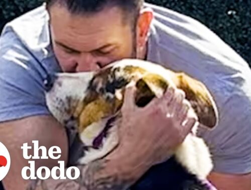 Scared Dog Melts Into His New Dad's Arms | The Dodo