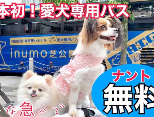 【無料が嬉しい】座席スペース通常の2倍！『犬専用』バスで快適　東京周遊♪