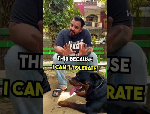 Rottweilers are not for every pet owner.  #shorts #rottweiler  #namitaology  #viral