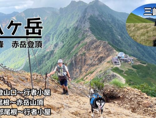 犬と登山 Vol. 29 八ヶ岳（赤岳）+ 三峰山
