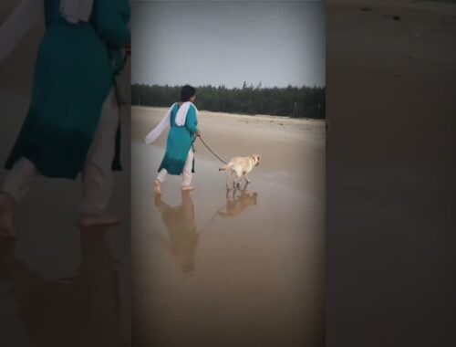 Puppy at sea beach🌊🌊🐶😘😘 #seabeach #labrador #ytshorts #viralvideo