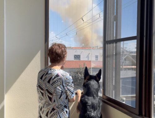 愛犬が吠えるので窓の外を見てみたら、火事でした・・・