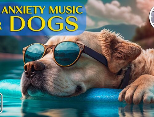 24 Hours of Anti Anxiety Music for Dogs: Cure Separation Anxiety with Dog Music & Dogs Calming Music